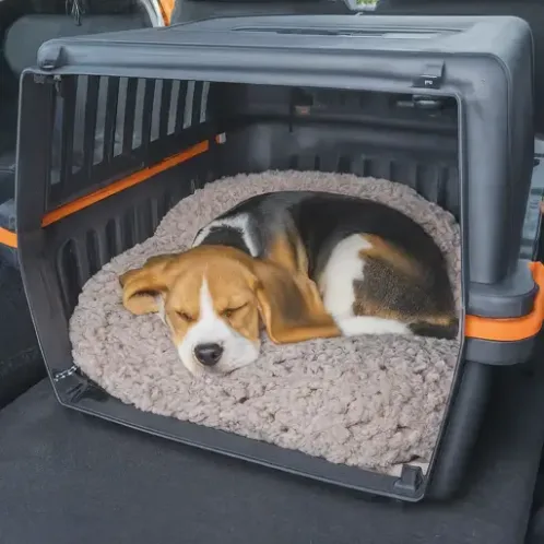 A Beagle puppy sleeping soundly in a travel crate secured in a car's trunk.

Transport Puppy in Car